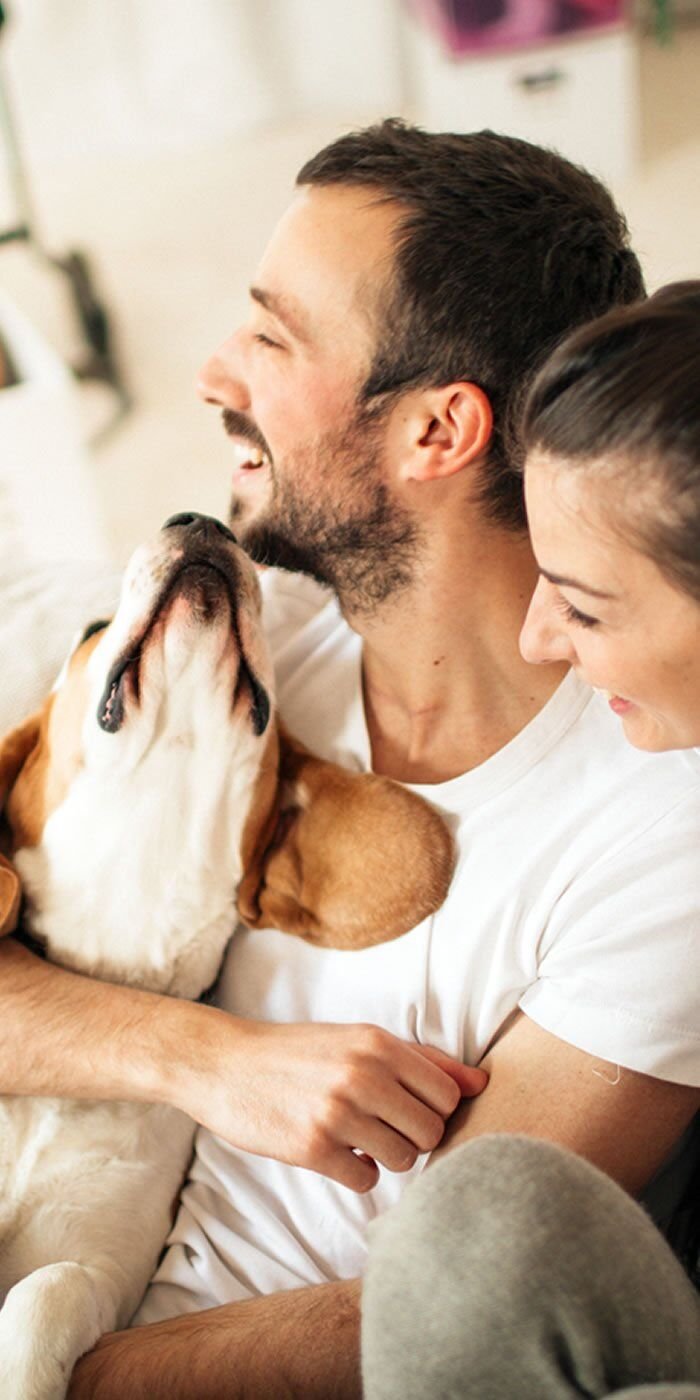 Toronto dating agency