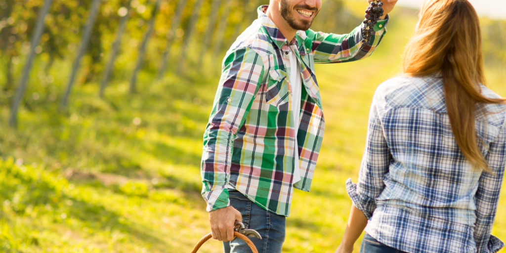 Couple in vineyard smiling. Man holding grapes and showing his partner.
