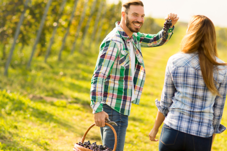 Couple in vineyard smiling. Man holding grapes and showing his partner.