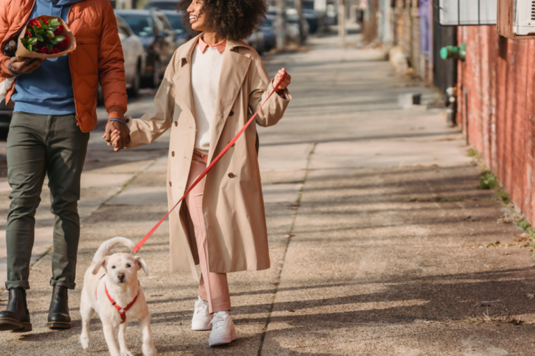 couple holding hands and walking dog