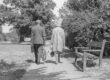 An older couple walking together on a tree-lined path.